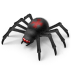 http://icons.iconarchive.com/icons/aha-soft/desktop-halloween/72/Spider-icon.png