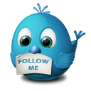 twitter follow me icon