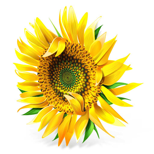 Sunflower Icon | Ukrainian Motifs Iconset | Artua.com
