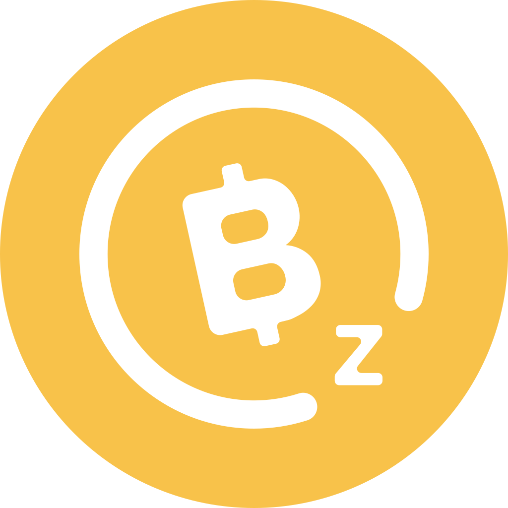 Bitcoinz Btcz Icon Cryptocurrency Flat Iconset Christopher Downer
