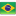 Brazil-Flag-icon
