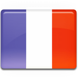 France-Flag-icon.png