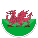 Wales icon