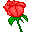 rose icon