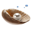 http://icons.iconarchive.com/icons/diveandgo/diving/64/pearl-icon.png