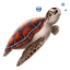 http://icons.iconarchive.com/icons/diveandgo/diving/64/turtle-icon.png