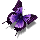 http://icons.iconarchive.com/icons/dunedhel/kaori/128/Other-Butterfly-icon.png