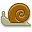 snail-icon.png