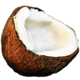 Coconut Icon  Fruitsalad Iconset  fi3ur