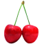 http://icons.iconarchive.com/icons/fi3ur/fruitsalad/64/cherry-icon.png