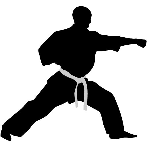 Karate punch Icon | Karate Iconset | Kampsport Find Hold