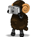Photographer-icon.png