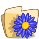 Folder Flower Blue icon