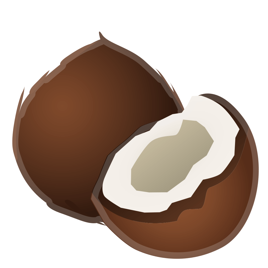 Coconut Icon | Noto Emoji Food Drink Iconset | Google
