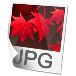 JPEG Image Icon  Simple Iconset  Harwen