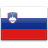 http://icons.iconarchive.com/icons/icondrawer/flags/48/Slovenia-icon.png