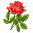 http://icons.iconarchive.com/icons/icondrawer/gifts/48/rose-icon.png
