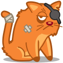 cat-pirate-icon