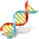 Body DNA icon