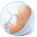 Body-Embryo-icon.png