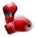 http://icons.iconarchive.com/icons/icons-land/sport/128/Boxing-Gloves-icon.png