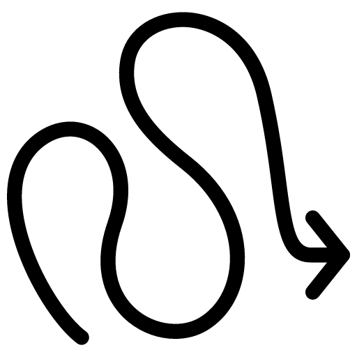 Arrow Squiggly Icon | Line Iconset | IconsMind