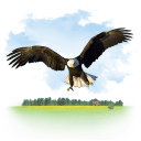 http://icons.iconarchive.com/icons/itzikgur/my-seven/128/Animals-Eagle-icon.png