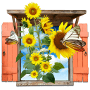 http://icons.iconarchive.com/icons/itzikgur/my-seven/128/Flowers-Sunflowers-Window-icon.png