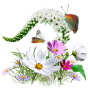 Flowers-Wildflowers-icon.png (128×128)