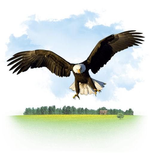 Ратуша Animals-Eagle-icon