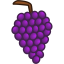 http://icons.iconarchive.com/icons/martin-berube/food/64/grapes-icon.png