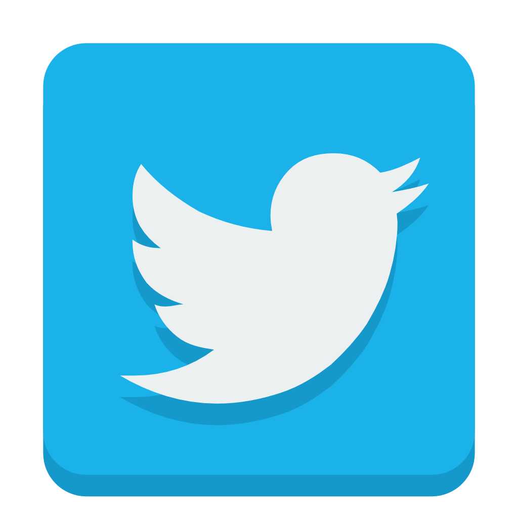 Twitter social media icon