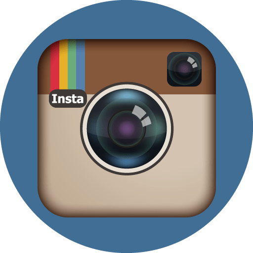 Image result for instagram icon round