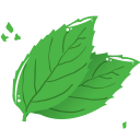 mint leaf icon