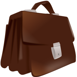 case icon
