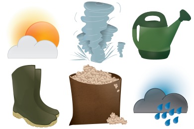 Seasonal Icons
