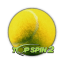 Top Spin 2 5 icon