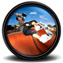 Tony Hawk s ProSkater 4 4 icon