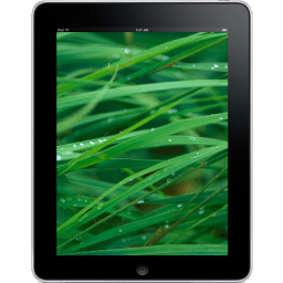 iPad Front Grass Background icon