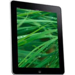 iPad Side Grass Background icon