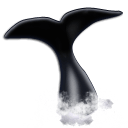Whale Watching icon