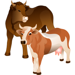 Cattle Icon Agriculture Iconset Aha Soft