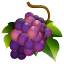 http://icons.iconarchive.com/icons/aha-soft/desktop-buffet/64/Grapes-icon.png