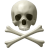 Skull-and-bones icon