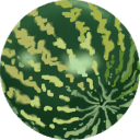 Water-melon icon