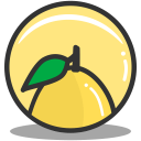 Button lemon icon