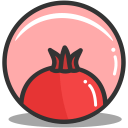 Button pomegrante icon
