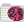 Folder-Raspberry icon