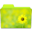 Folder Sunflower icon