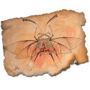 Coleopterus persianatus icon